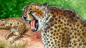 Die Grammatik der Macht