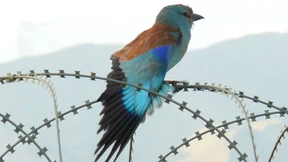 Der Krieg am Hindukusch aus der Vogelperspektive