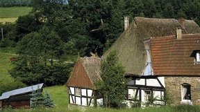 „Viele, die von außen kommen, sehen sich als Heilsbringer“