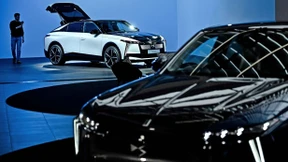 „Für Taschen gibt es LVMH, für Autos DS“