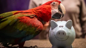 Die Sparer tragen die Kosten