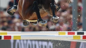 Tierschützer kritisieren Reitsport-Weltverband