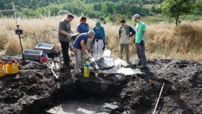 Kein Regenwald am Messelsee