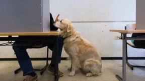 Erwartungen, Enttäuschungen