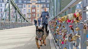 Die Nase weist den Weg