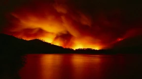 Waldbrände nach Brandstiftung?