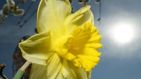 Wer liest, friert nicht