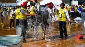 Auf schlammigem Grund