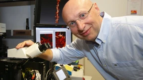 Ein Heureka habe ich oft erlebt