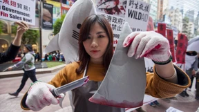 China will ausländische NGOs stärker kontrollieren