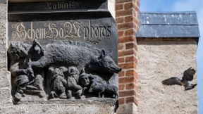 Wittenberger „Judensau“ soll entfernt werden