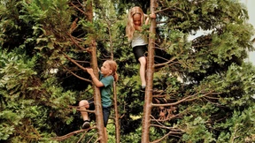 Wie werde ich glücklich?