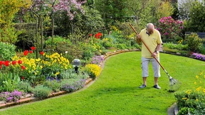 Alle Rentenansprüche auf einen Blick