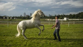 Bürger haben Angst vor „Alibi-Beteiligung“