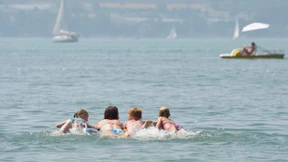 Bodensee so sauber wie vor 60 Jahren