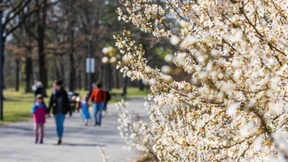 Osterhasenlauf begeistert am Feiertag in Berlin