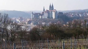 Darüber wird man ja wohl noch schweigen dürfen