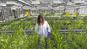 Trump wird das nicht zurückdrehen