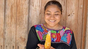 Wider die westliche Fast-Food-Diät