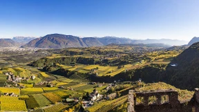 Speckknödel statt Drehschwindel