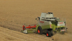 Bauern fordern Dürre-Nothilfen