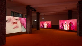 Schön, bunt, grausam