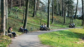 Gießen will beim Klimaschutz Tempo machen