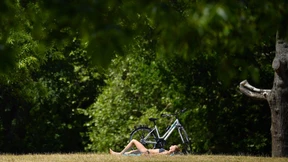 Dann gucken sie eben!