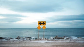 Grizzly-Grüße aus Alaska