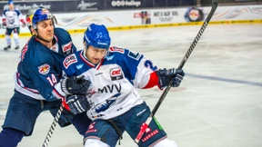 Die Adler ziehen weiter ihre Kreise