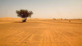 „Die Deutschen sollten aufhören zu jammern“