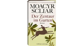 Ein kräftiger Säugling mit Fell und Huf