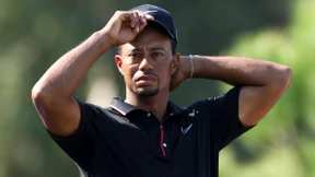 Europa lockt den Tiger 