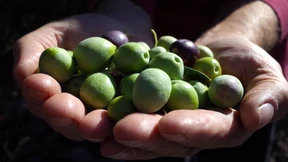 Ein Tropfen auf dem heißen Herd