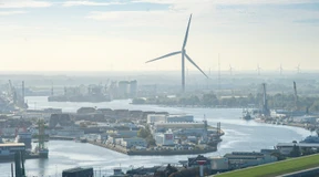 Starkregen führt zu Fischsterben