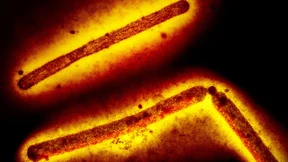 „Der Mensch ist bislang kein guter Wirt“