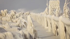 Mehr als 30 Tote an Weihnachten