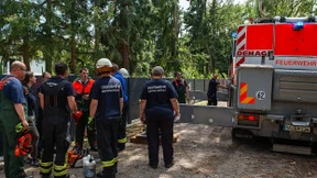 Wiederaufforstung nach Sturmschäden „wird Jahre dauern“