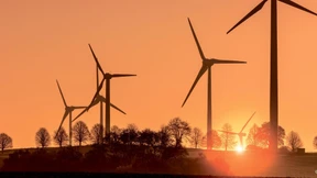 Das sind die Aktien des Jahres aus Rhein-Main