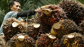 Niedriger Ölpreis schürt Rassismus