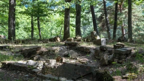 Hier hilft das Waldbad!