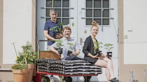 Erste Ernte im Januar