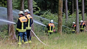 Wie Wasser in den Wald kommt