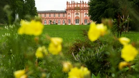 Ein weißer Kulturfleck weniger