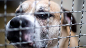 Staatsanwalt ermittelt wegen Morddrohungen im Netz