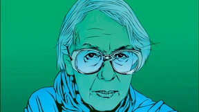 Warum kommen Sie nicht von Pound los?