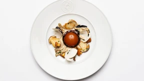 Rückkehr in den Olymp