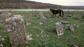 Antonescus Vernichtungsfeldzug