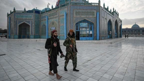 Der Freikauf ist falsch