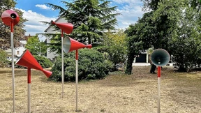 Akazie hinter Stahllinien